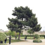 Deuxième printemps
